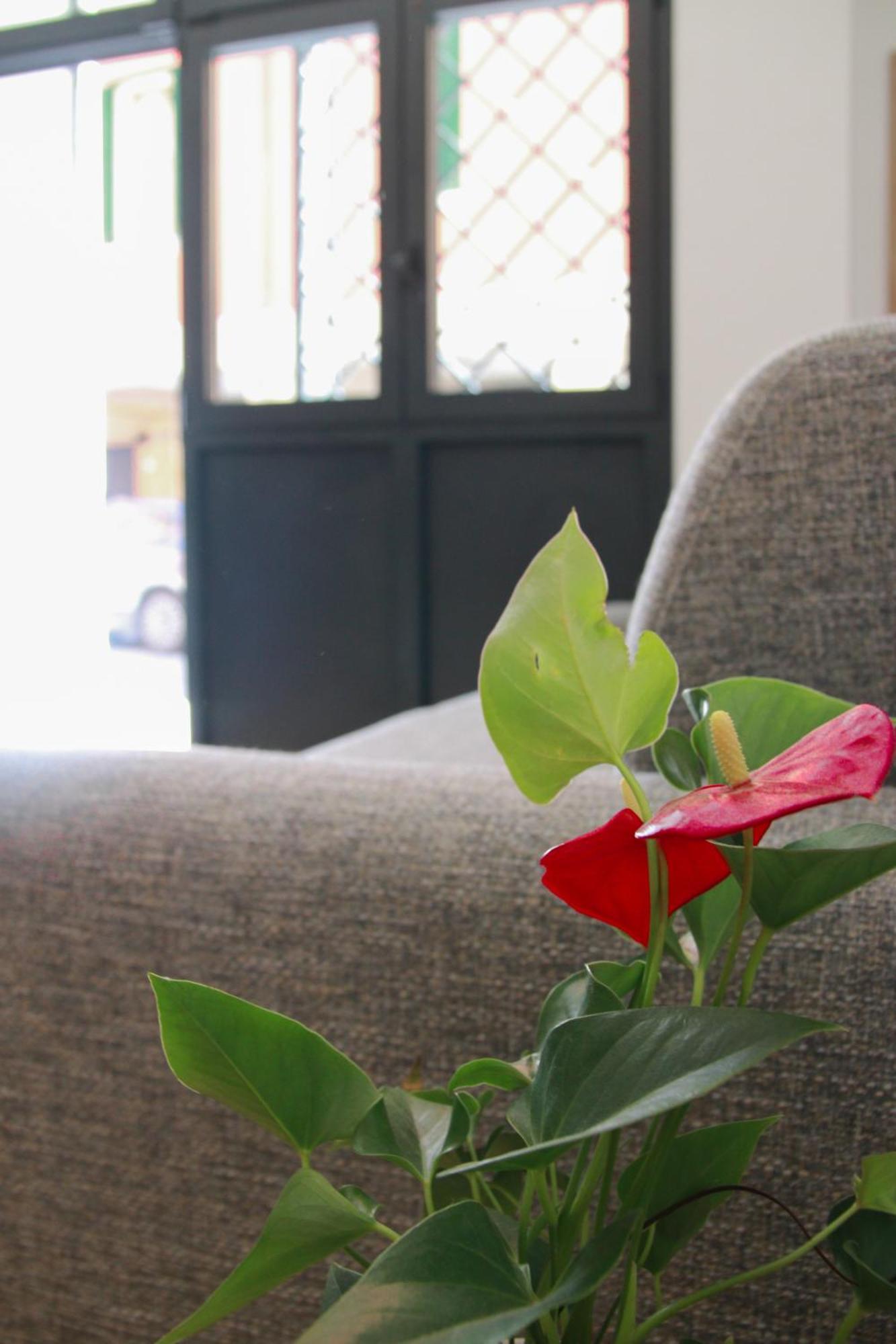 U Zone Apartment โบโลญญา ภายนอก รูปภาพ